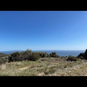 Meet your Posher, Coco